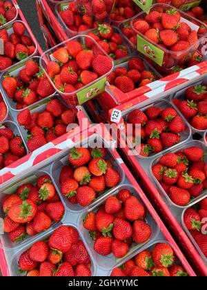 Punnets of fresh strawberries on a market stall. Stock Photo