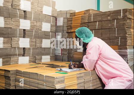 African man inventory control manager in sterile clothing checking order of cardboard box package stacked in warehouse at beverage processing plant Stock Photo