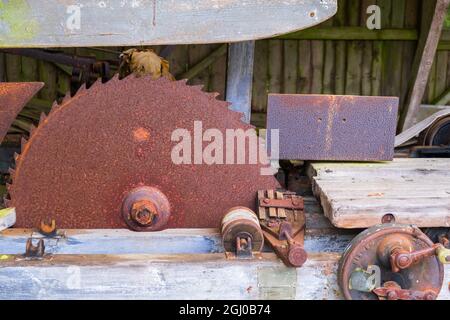 Rusty old circular saw in a saw mill Stock Photo