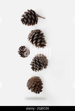 Levitation of fir cones on white isolated background Stock Photo