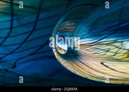 Colorful abstract background. Stock Photo