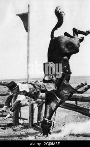 Imre Petnehazi taking a fall in the Equestian Event at the 1932 Olympic Games, Los Angeles, USA, Stock Photo