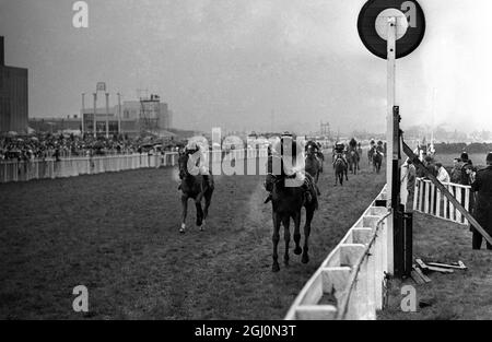 1967 Grand National Foinavon , the 100-1 outsider ridden by John Buckingham seen about to pass the winning post after coming from the back of the field to win the 1967 Grand National Steeplechase . 8 April 1967 Stock Photo