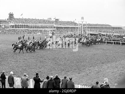 Grand national 1967 Photo made just after thestart of the grand national steeplchase as the 43 runners swing into their stride 8 April 1967 1967 Grand National steeplechase at Aintree . Foinavon , a 100-1 outsider ridden by John Buckingham , came from the back of the field to win the event by 15 lengths after a disastrous pileup at the 23rd fence brought down all the leaders. second was Honey End with jockey Josh Gifford ; third was Red Alligator with jockey Brian Fletcher and fourth was Greek Scholar with jockey Terry Biddlecombe . 8 April 1967 Stock Photo