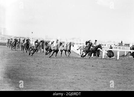 Grand national 1967 Foinavon , 100-1 outside ridden by John Buckingham (no 38) seen about to pass the post after coming from the back of the field 1967 Grand National steeplechase at Aintree . Foinavon , a 100-1 outsider ridden by John Buckingham , came from the back of the field to win the event by 15 lengths after a disastrous pileup at the 23rd fence brought down all the leaders. second was Honey End with jockey Josh Gifford ; third was Red Alligator with jockey Brian Fletcher and fourth was Greek Scholar with jockey Terry Biddlecombe . 8 April 1967 Stock Photo