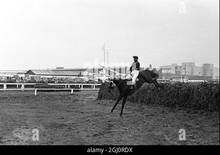 Grand national 1967 Foinavon , 100-1 outside ridden by John Buckingham takes the last fence before going on to win the 1967 Grand national . 1967 Grand National steeplechase at Aintree . Foinavon , a 100-1 outsider ridden by John Buckingham , came from the back of the field to win the event by 15 lengths after a disastrous pileup at the 23rd fence brought down all the leaders. second was Honey End with jockey Josh Gifford ; third was Red Alligator with jockey Brian Fletcher and fourth was Greek Scholar with jockey Terry Biddlecombe . 8 April 1967 Stock Photo