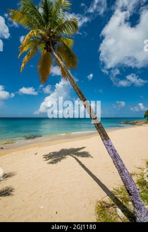 Sprat Hall Beach, St. Croix, US Virgin Islands. Stock Photo
