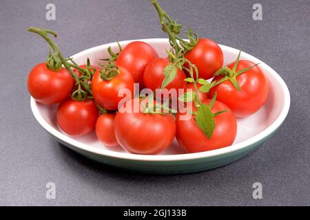 Homegrown tomatoes in a oval ceramic blow Stock Photo