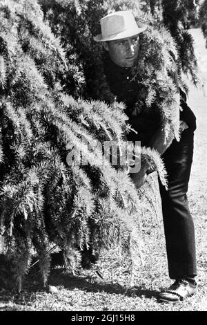 15 NOVEMBER 1962 GARY PLAYER FINDS HIMSELF IN A TREE DURING THE CANADA CUP GOLF TOURNAMENT IN BUENOS AIRES, ARGENTINA. Stock Photo