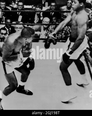 WORLD HEAVYWEIGHT BOXING CHAMPION SONNY LISTON WITH AMERICAN BOXING CHAMPION CASSIUS CLAY MUHAMMAD ALI IN MIAMI BEACH FLORIDA ON ROPES - ; 26 FEBRUARY 1964 Stock Photo