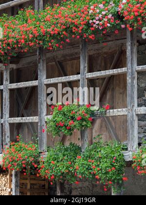 Canale d'Agordo, traditional alpine architecture in valley Val Biois, Italy. Stock Photo