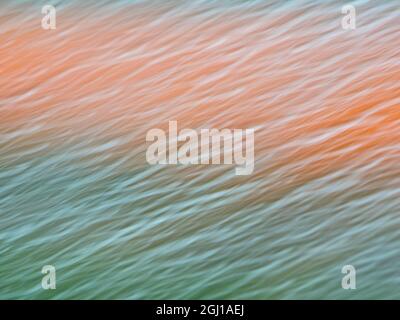 Europe;Netherlands;Nord Holland;Tulips and Rain Drops in Patterns Stock Photo