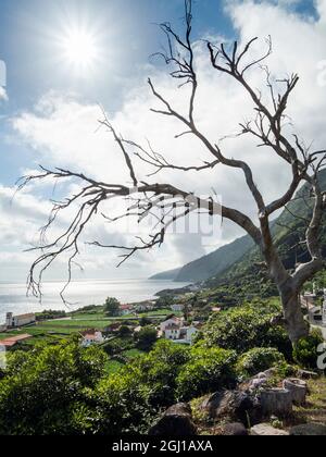 Faja dos Vimes. Sao Jorge Island, Azores, Portugal. Stock Photo