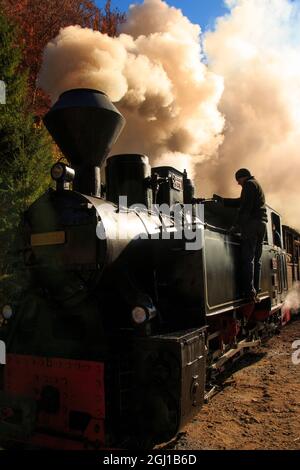 Europe, Romania, Viseu de Sus. Carpathian Forest Steam train. Vaser Valley Railway. Wood-burning, steam locomotive. Narrow-guage railway. Initiated 19 Stock Photo