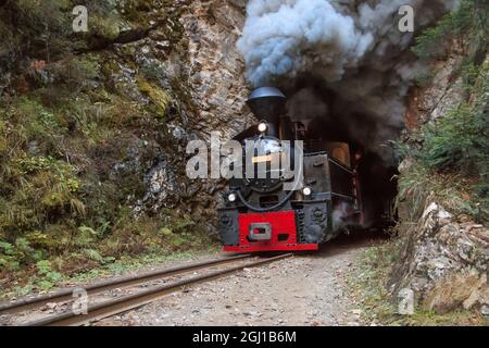 Europe, Romania, Viseu de Sus. Carpathian Forest Steam train. Vaser Valley Railway. Wood-burning, steam locomotive. Narrow-guage railway. Initiated 19 Stock Photo