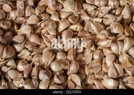 Organic garlic top view - flat lay, full frame Stock Photo