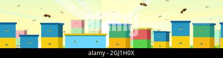 Apiary. Rural farm landscape with colorful bee hives. In the rays of the rising sun. Beekeeper illustration with beehive. Vector Stock Vector