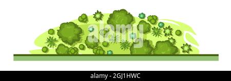 The edge of the forest. Trees and shrubs. View from above. Plant landscape. Green wildlife. Top view. Height. Illustration in cartoon style. Isolated Stock Vector