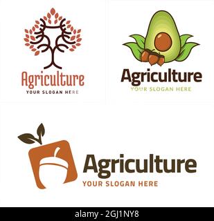 Agriculture fruit organic apple farmers logo design Stock Vector