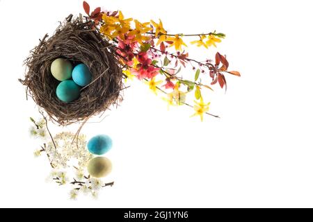 Creative composition of colored eggs in a nest with beautiful flowers on a white surface Stock Photo