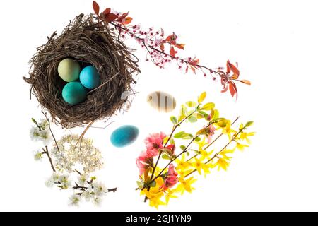 Creative composition of colored eggs in a nest with beautiful flowers on a white surface Stock Photo