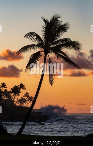 Coconut palm trees silhouetted against vivid sunrise clouds at Poipu Beach in Kauai, Hawaii, USA Stock Photo