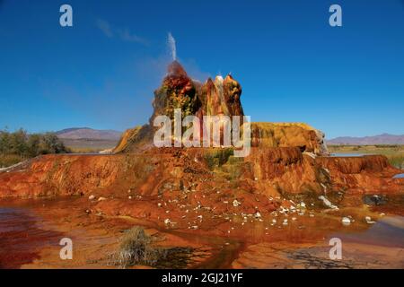 USA, Nevada, Black Rock Desert, Fly Geyser a rainbow of colors Stock Photo