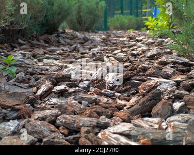 Mulch made of natural brown pine bark on a flowerbed in the park. Designer Mulching of flower beds with natural materials. Stock Photo