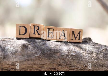 The word Dream was created from wooden cubes. Taken outside on a tree branch. close up Stock Photo