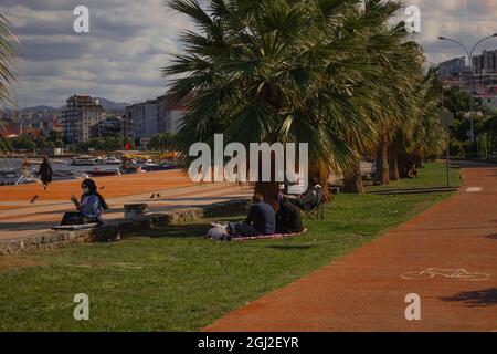 People having a picnic under palm trees. Covered woman reading a book. Walking path of the city. Stock Photo