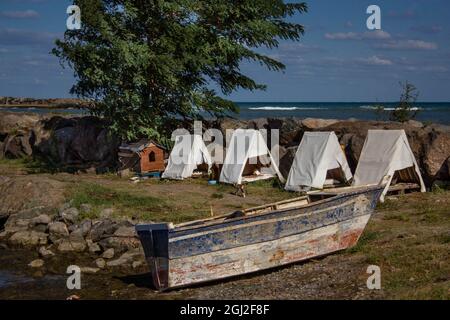 Cats in special cat tents at the coast. Happy and adorable cats living in their individual tents. Stock Photo