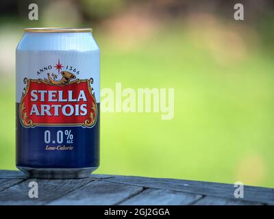 Sint Gillis Waas, Belgium, 07 September, 2021, A can of Stella Artois beer without alcohol and low in calories, Brewed by a Belgian brewery Stock Photo