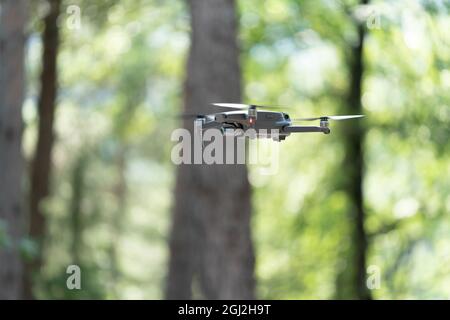 Dron flying between the trees in the woods Stock Photo