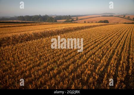 Thaxted Essex England Early Morning Photograph by Brian Harris 7 Sept 2021 Stock Photo