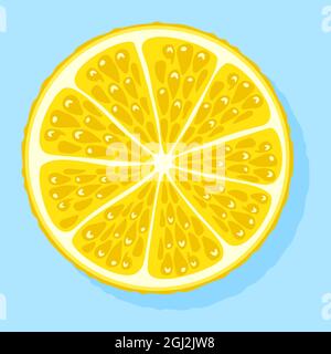Half, slice of lemon isolated on a light blue background. Cartoon style. Vector illustration. Stock Vector