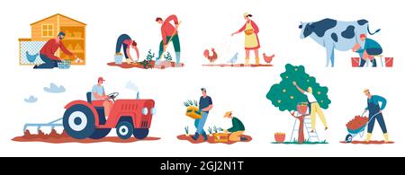 Farmers at work, agricultural workers harvesting crops, caring for animals. Farmer picking apples, collecting eggs, milking cow vector set. Characters gathering harvest and working on tractor Stock Vector