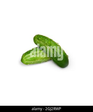 Two cucumbers isolated on a white background. Ingredient for salad or sauce. Selective focus Stock Photo