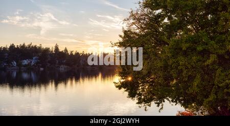 View of a river at Gorge Park, Victoria, Vancouver Island, BC, Canada Stock Photo