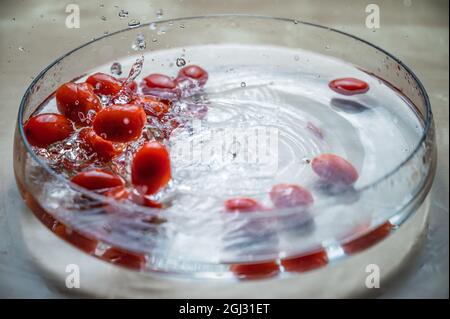 Tasteful natural organic vegetable Fresh red baby cherry plum tomatos (baby tomato,cherry tomato) group dropping on the water bowl with water splash Stock Photo