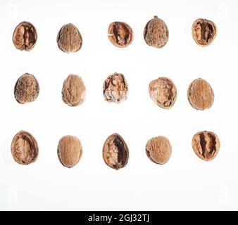 Top view of three rows and five columns of walnuts or parts of walnut shells, empty, open, unopened, with the edible part. On a white background. Conc Stock Photo