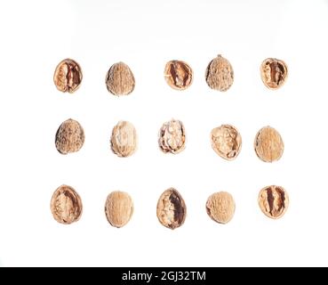 Top view of three rows and five columns of walnuts or parts of walnut shells, empty, open, unopened, with the edible part. On a white background. Conc Stock Photo