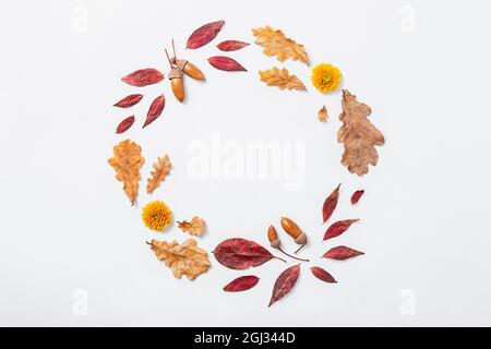 Autumn composition. Wreath made of autumn red and gold leaves, flowers and acorns. Circle autumn mockup, Flat lay, top view, copy space Stock Photo