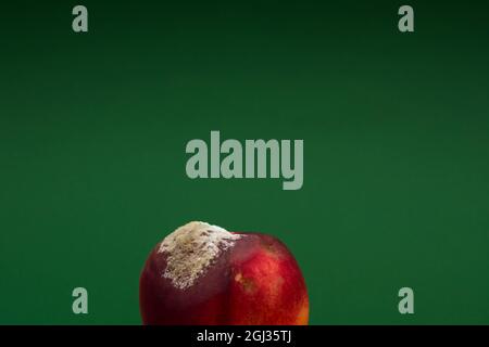 Half a rotten peach on a green background Stock Photo