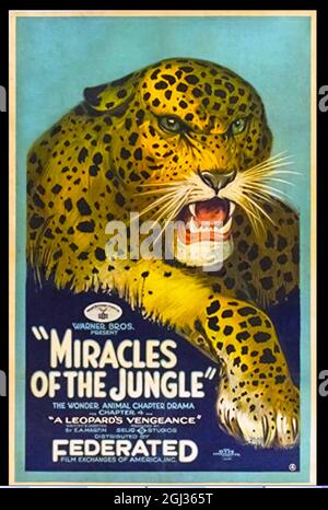 Click on vintage American movie poster - Peter Pan Stock Photo - Alamy