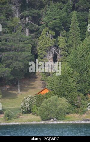 Lakeside Cabin Nestled in Lush Forest Stock Photo
