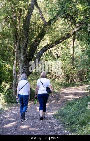 Outdoor exercise; Two caucasian middle aged aged 50s women walking on a path through the woods in summer, seen from the rear, Suffolk UK Stock Photo