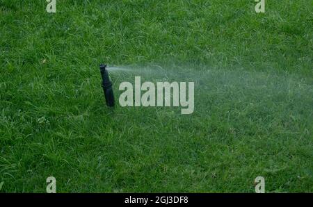 Automatic sprinkler system watering the lawn on a background of green grass close up