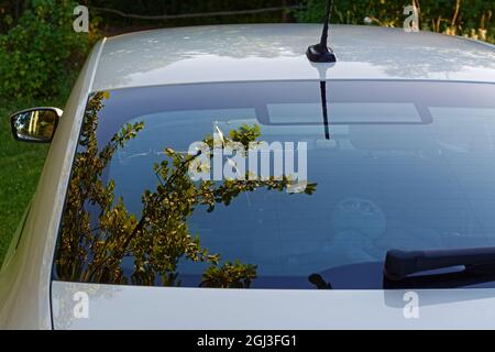 Reflection of tree branches and blue sky on the rear window of the car. Stock Photo