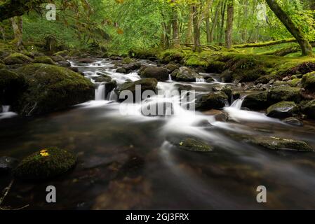 Afon Ysgethin river with white water flowing through a green mossy wood. Stock Photo