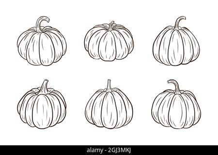 Pumpkin Illustrations Set. Fresh ripe pumpkins Collection for stickers, prints, invitation, menu and greeting cards design and decoration. Premium Vector Stock Vector